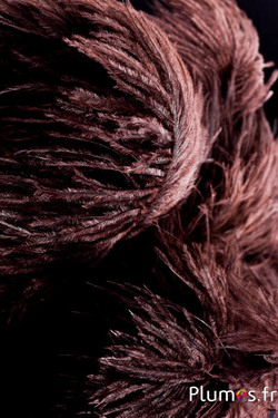 Autruche - 30-40 cm - gris naturel-chocolat